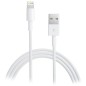 Apple Lightning auf USB Kabel 2m — Weiß