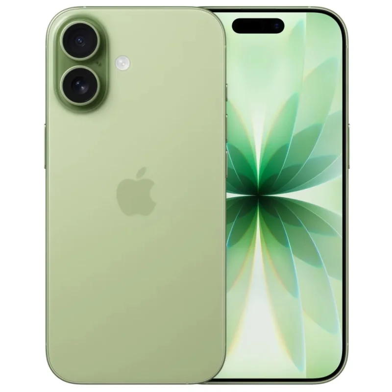 iPhone 17 256Go Sauge – Occasion